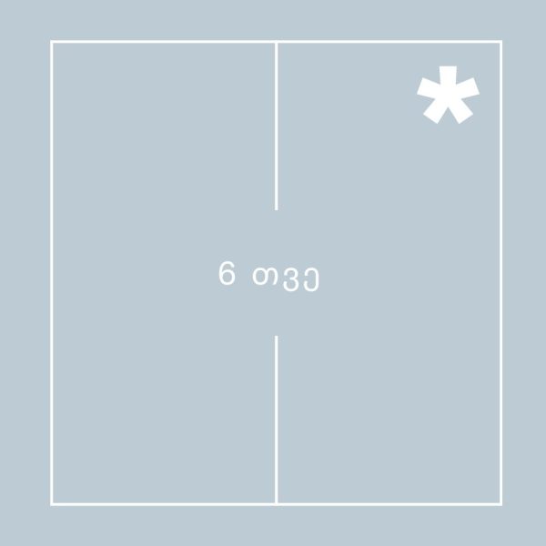 6 თვე